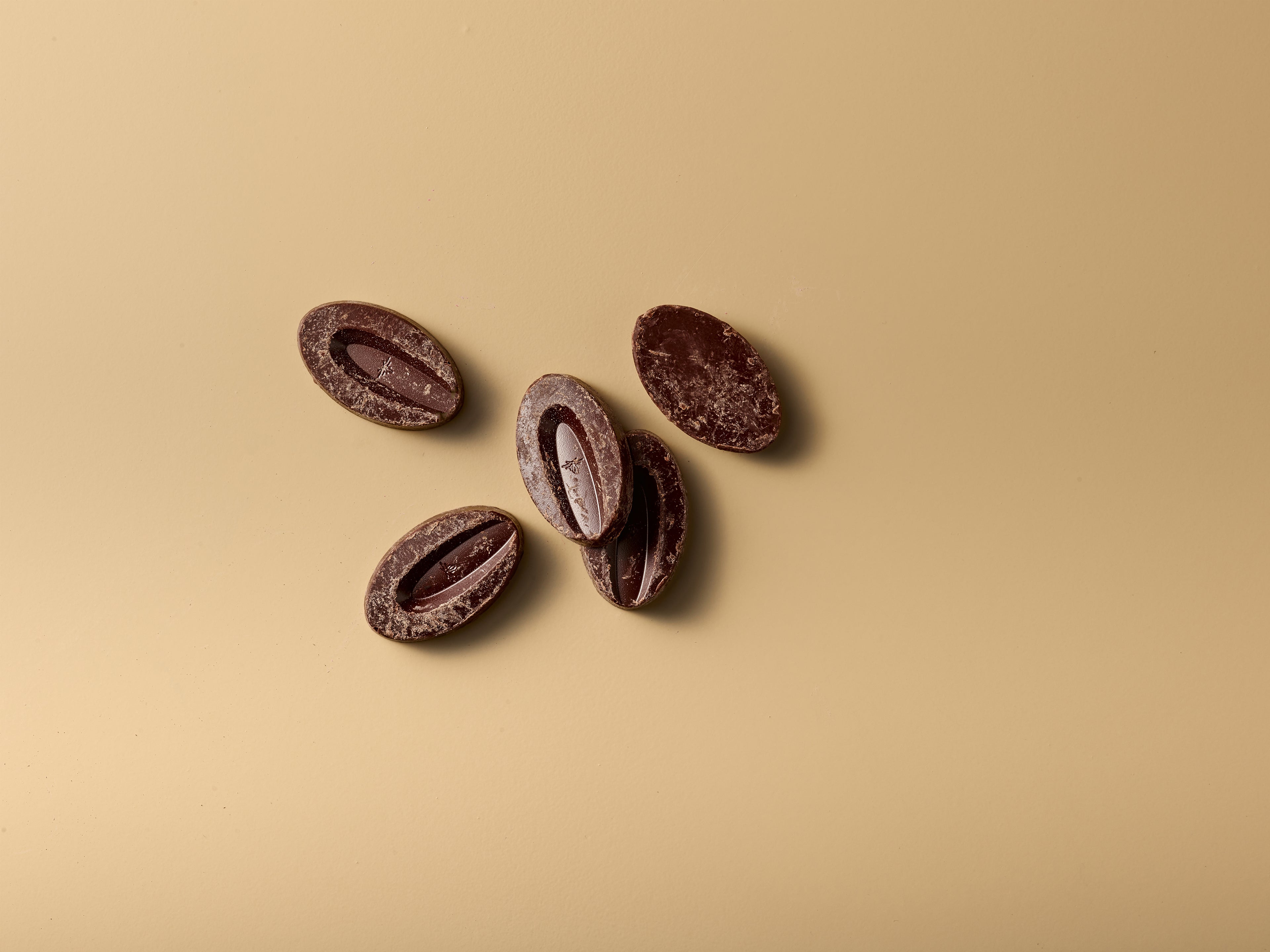 Valrhona Pure Chocolade van Premium Cacaobonen
